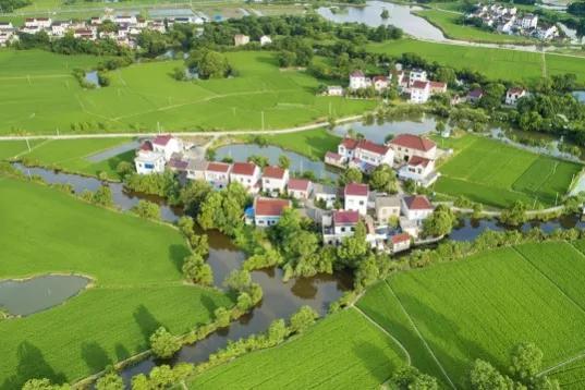 这6类项目在农村正成香馍馍?返乡创业摸准门路,年入百万不是梦农村商机好项目有哪些-先机网创