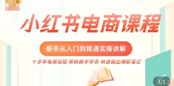 【副业项目5223期】小红书电商新手入门到精通实操课,从入门到精通做爆款笔记,开店运营-先机网创