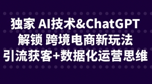 【副业项目6780期】独家 AI技术&ChatGPT解锁 跨境电商新玩法,引流获客+数据化运营思维-先机网创