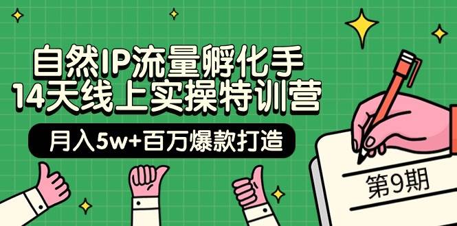自然IP流量孵化手 14天线上实操特训营【第9期】月入5w+百万爆款打造 (74节)-先机网创