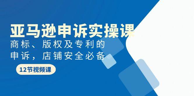 亚马逊-申诉实战课,商标、版权及专利的申诉,店铺安全必备-先机网创