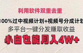 利用软件双重去重,100%过中视频+视频号分成计划小白也可以月入4W+-先机网创