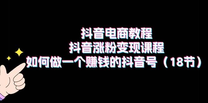 抖音电商教程:抖音涨粉变现课程:如何做一个赚钱的抖音号(18节)-先机网创