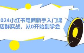 2024小红书电商新手入门课,店群实战,从0开始到学会(31节)-先机网创