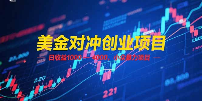 (15187期)美金对冲创业项目,日收益 1000 - 4000,小众暴力项目-先机网创