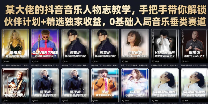 某大佬的抖音音乐人物志教学,手把手带你解锁伙伴计划+精选独家收益,0基础入局音乐垂类赛道-网赚副业网