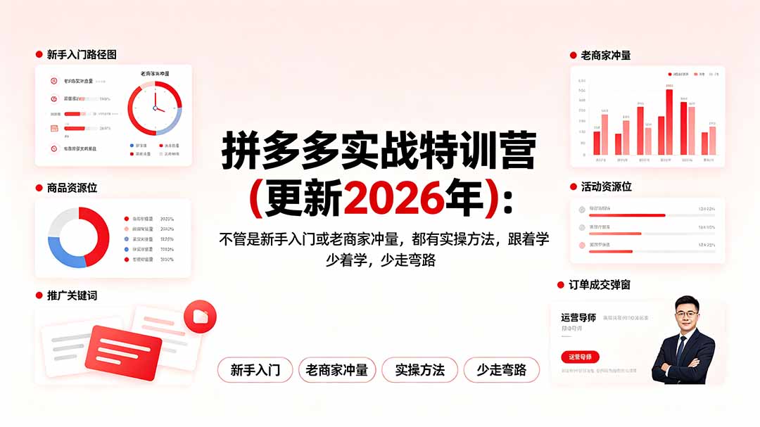（19291期）拼多多实战特训营(更新2026年)：不管是新手入门或老商家冲量，都有实操方法，跟着学，少走弯路-网赚副业网