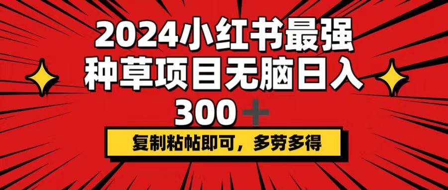 2024小红书最强种草项目，无脑日入300+，复制粘帖即可，多劳多得-网赚副业网